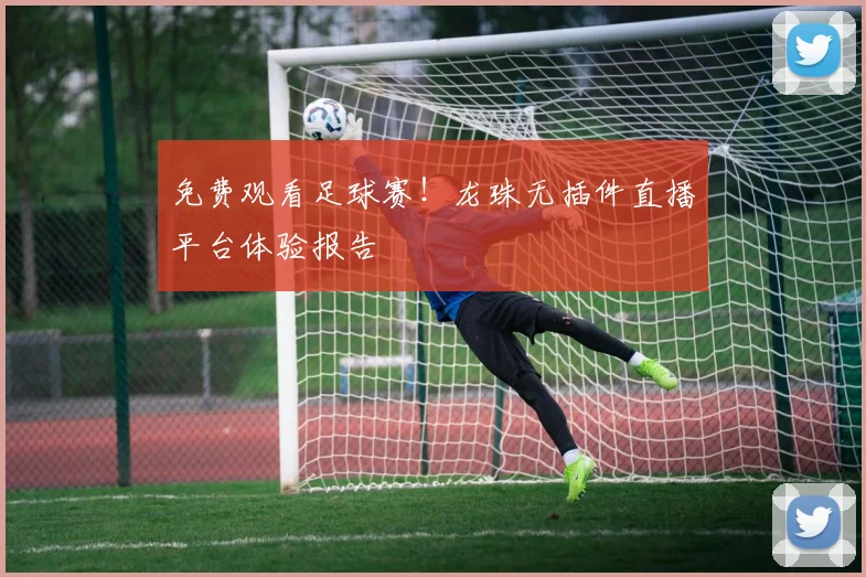 免费观看足球赛!龙珠无插件直播平台体验报告