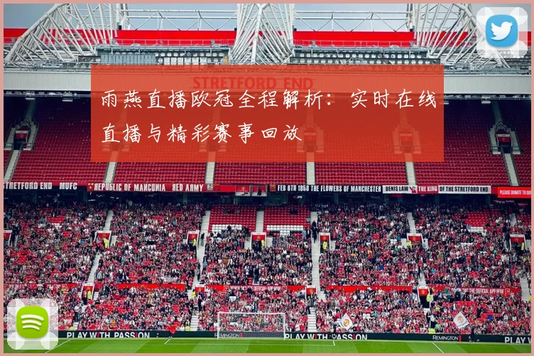 雨燕直播欧冠全程解析：实时在线直播与精彩赛事回放
