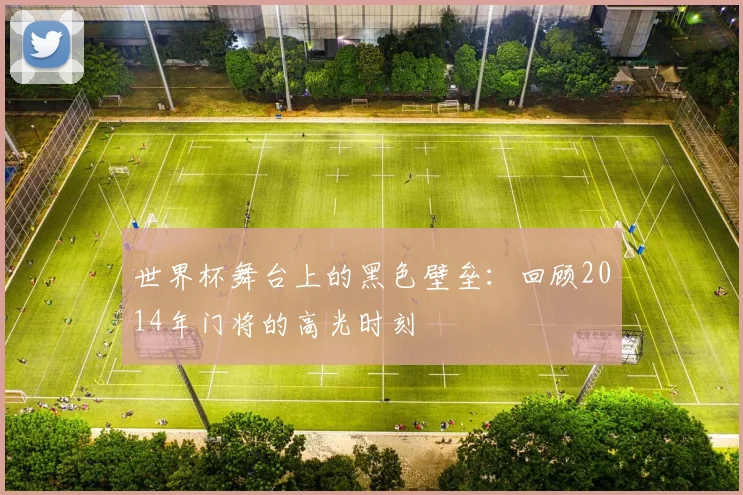 世界杯舞台上的黑色壁垒：回顾2014年门将的高光时刻