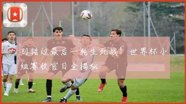 别错过最后一轮生死战！世界杯小组赛收官日全揭秘